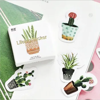 46pcs Pakuotėje Lipdukai kūrybos augalų albumą dekoro lipduko žalia Vazoninių kaktusas žalieji augalai 